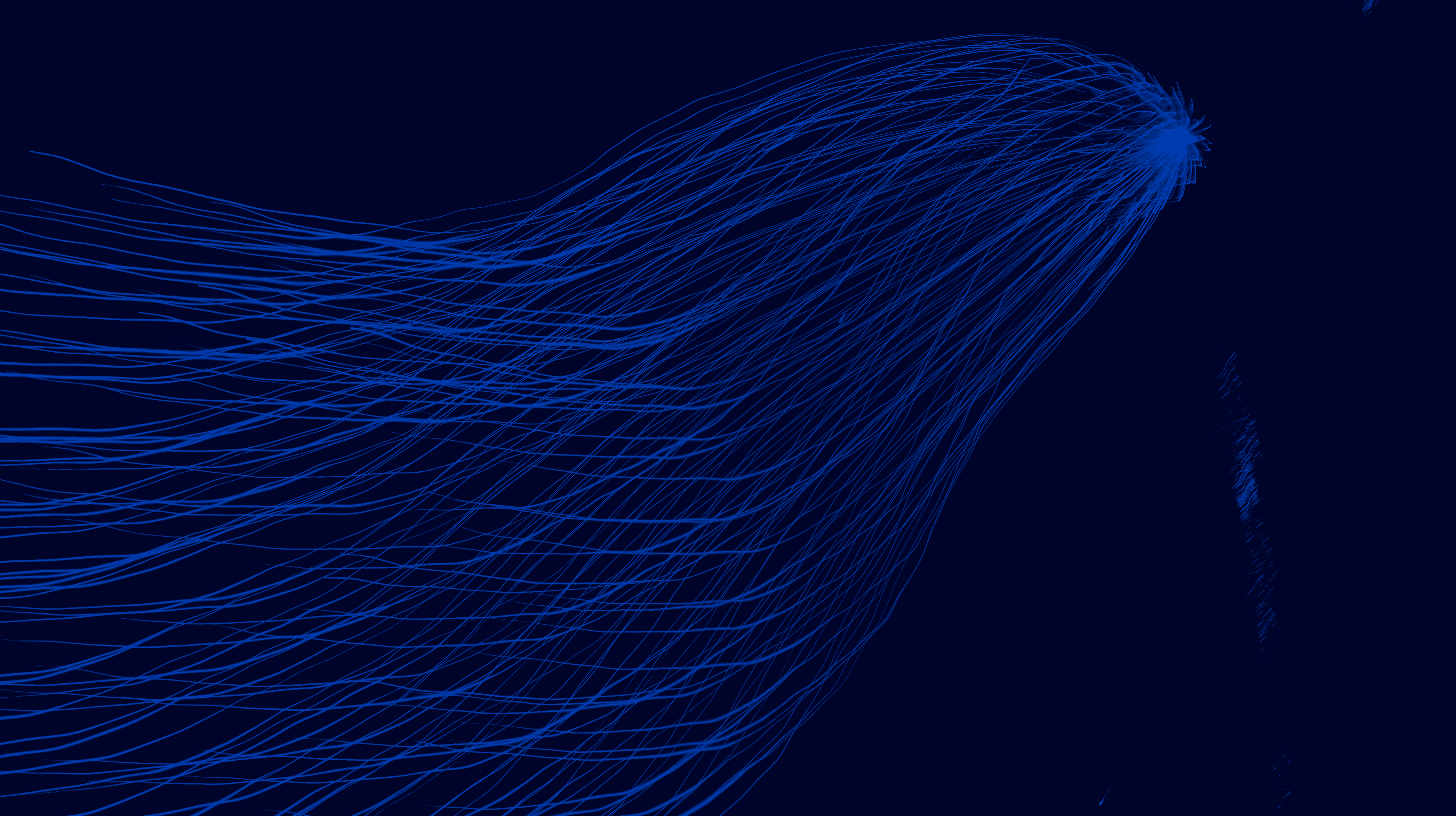 navy background