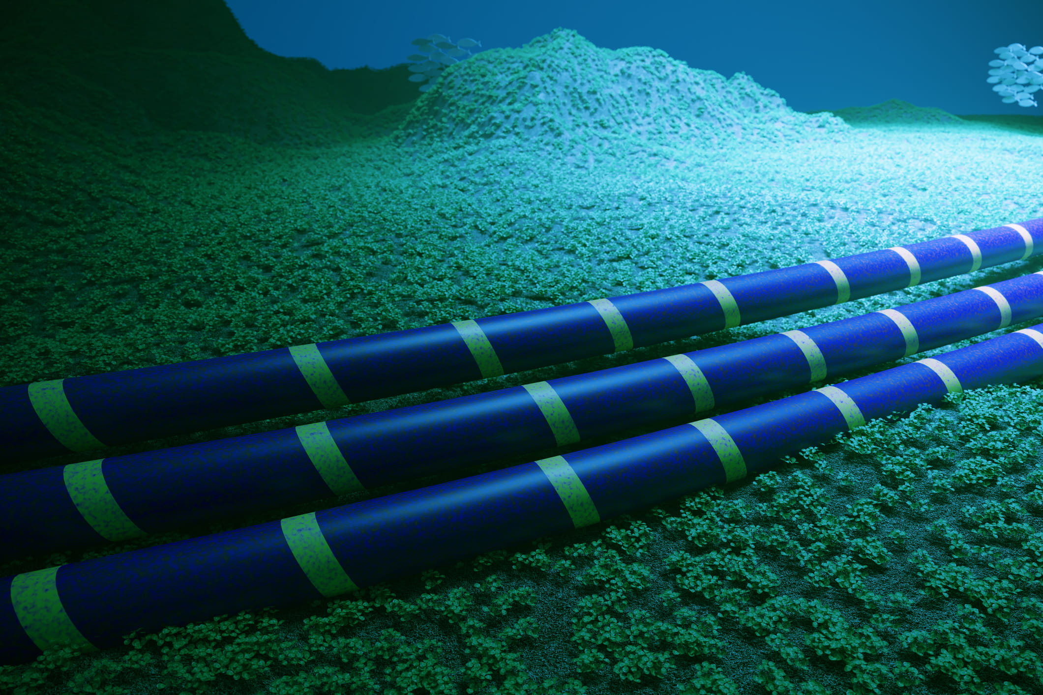 Subsea Optoelectronics Market Grows 32.5% in 3Q25 as PTC’26 Showcases Shift to Mesh Networks